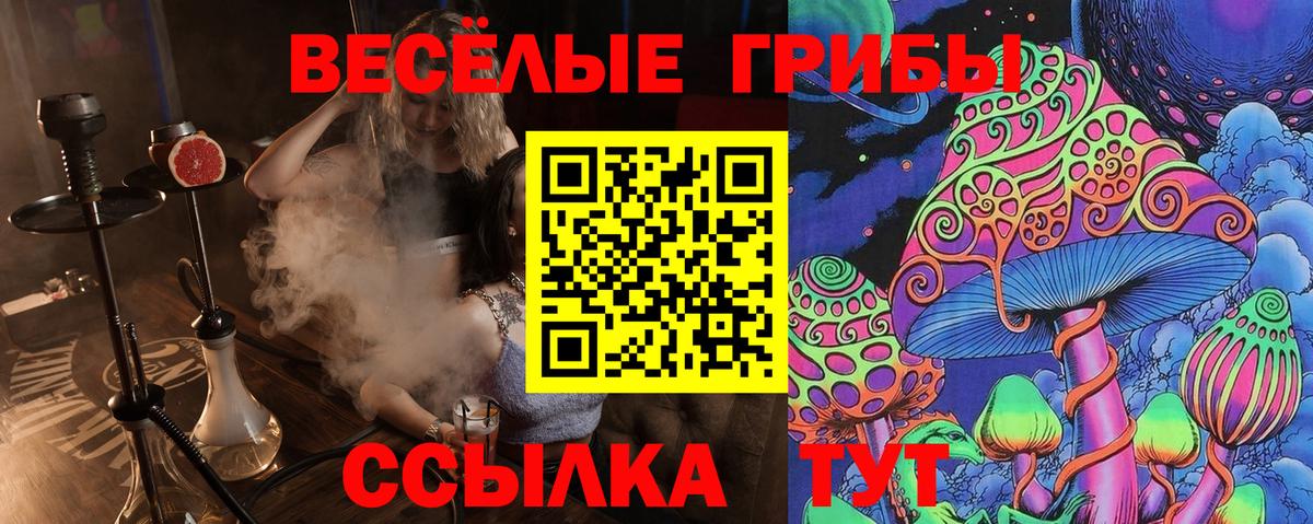Псилоцибиновые грибы Psilocybine cubensis  Вход с VPN  Галлюциногенные грибы MAGIC MUSHROOMS  Ростов-на-Дону 